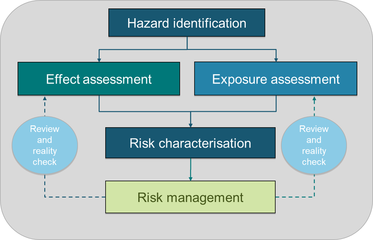 Risk assessment of chemicals